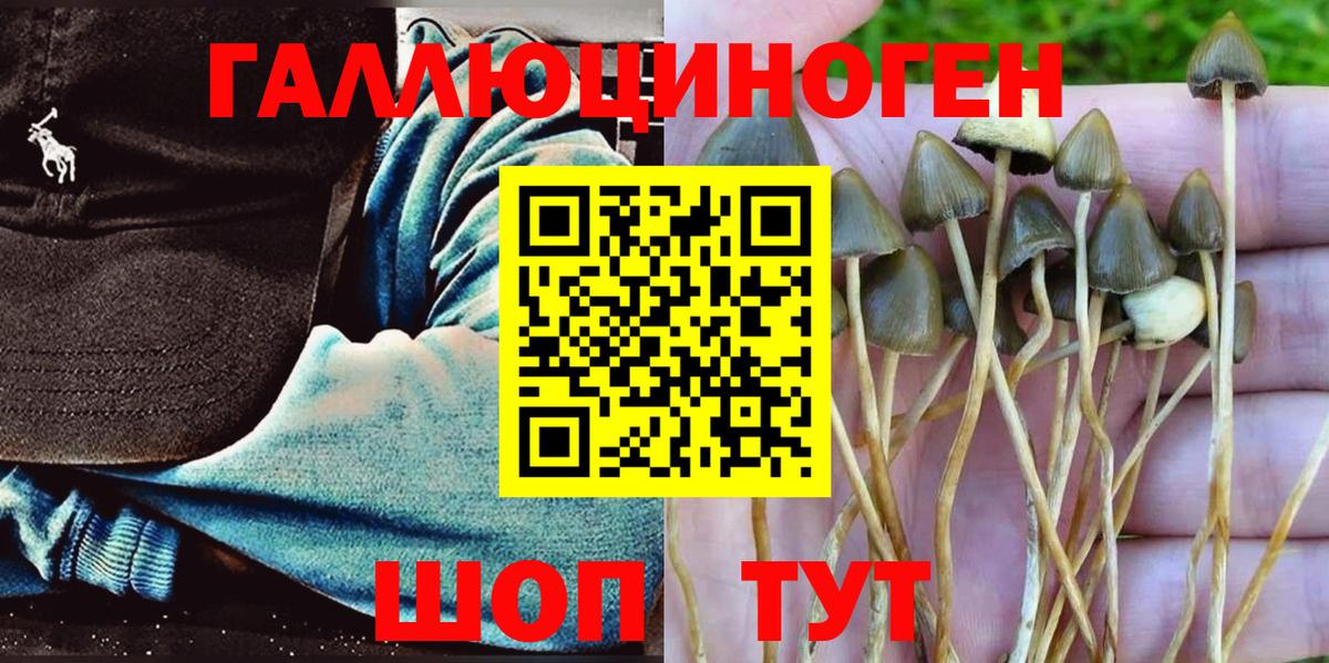 Невинномысск  Галлюциногенные грибы мухоморы  Галлюциногенные грибы прущие грибы  Вход с VPN 