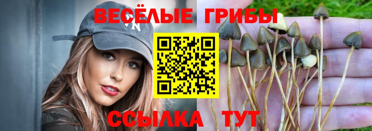 Галлюциногенные грибы GOLDEN TEACHER Невинномысск